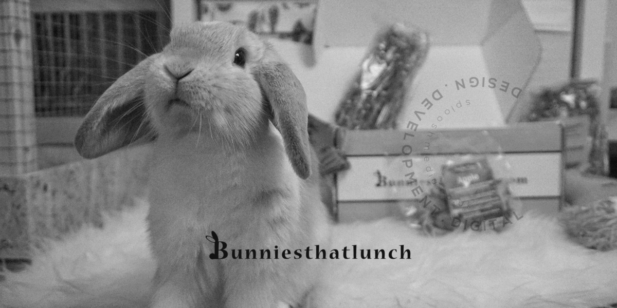 THE HUB | BUNNIESTHATLUNCH | BRANDING | PACKAGING